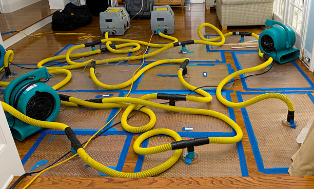 Professional Water Damage Repair technician working in Casstown, OH